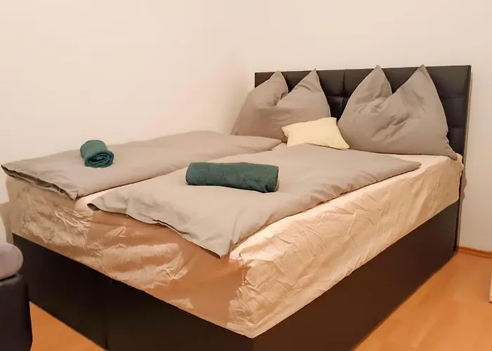 Cozy וינה